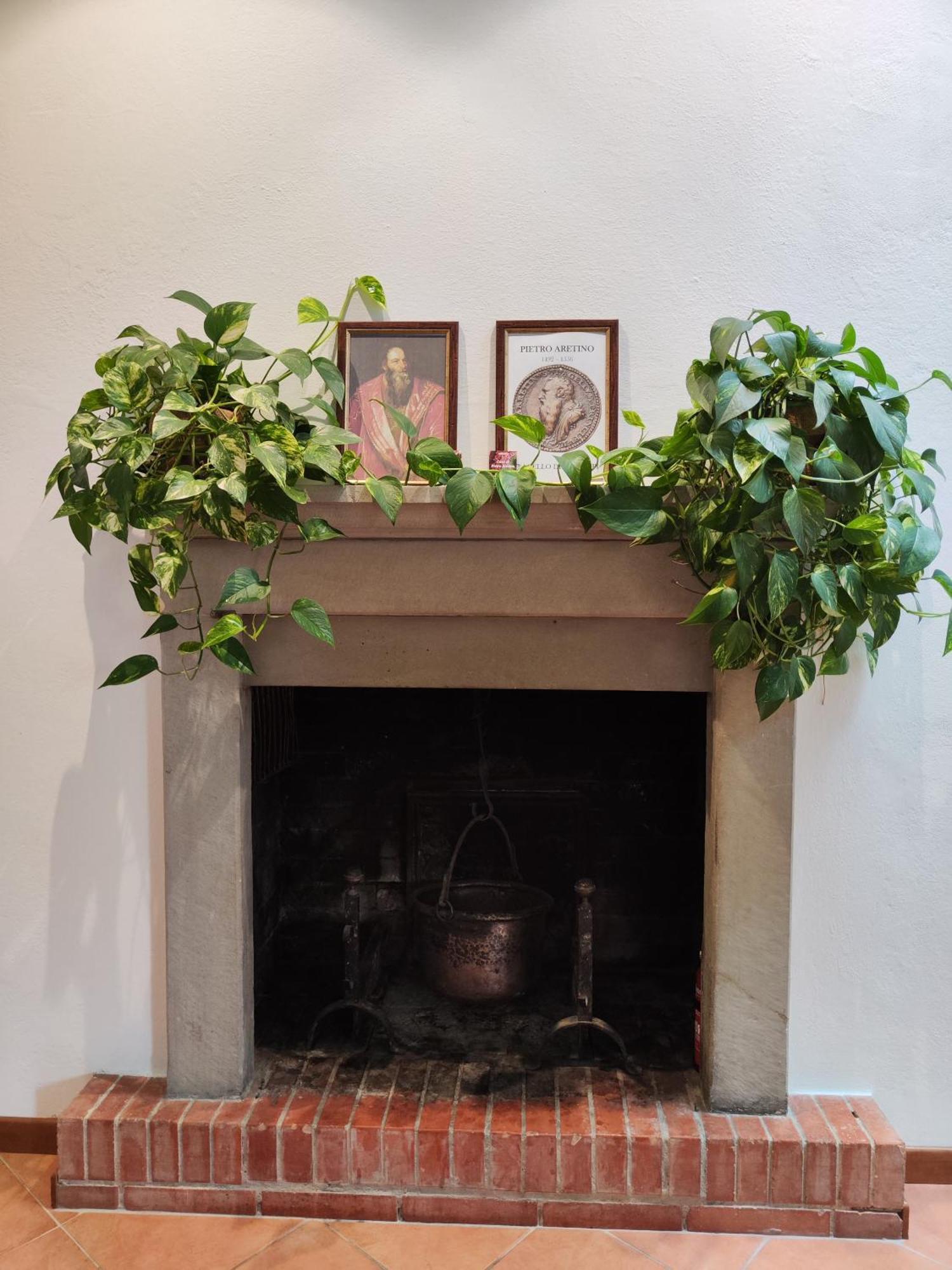 Casa Di Pietro Aretino, Arezzo Centro Storico 4-8 Letti Appartement Buitenkant foto