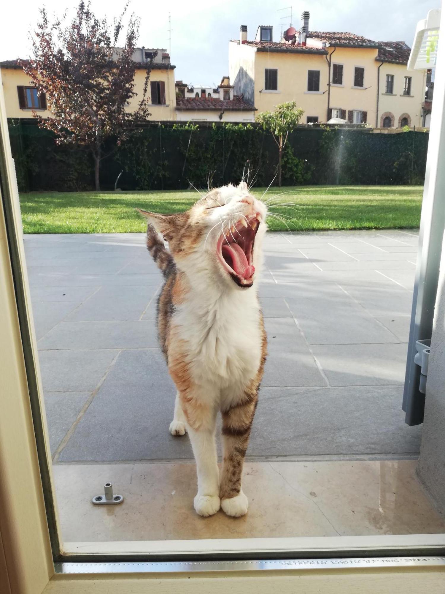 Casa Di Pietro Aretino, Arezzo Centro Storico 4-8 Letti Appartement Buitenkant foto